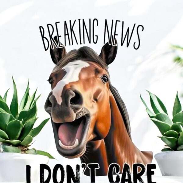 "Breaking News - I Don't Care" Design Print